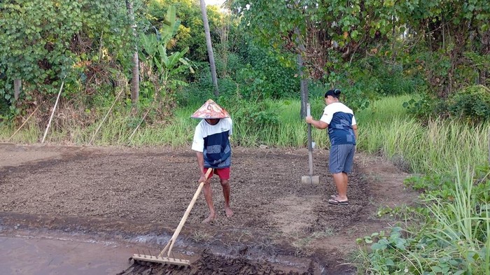 Astra Dampingi Desa Les Bali Raih Juara Wisata Nasional, Model Harmonisasi Alam dan Budaya