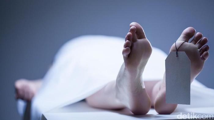 Mahasiswa Ditemukan Tewas di Lahan Kosong Ciseeng Bogor, Polisi Selidiki