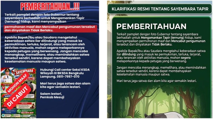 Sayembara Tangkap Tapir Hidup-hidup di Mesuji Berhadiah Rp 50 Juta Resmi Dibatalkan