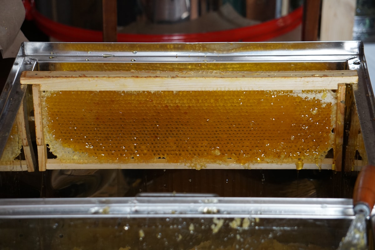 Mengenal 3 Metode Pengolahan Kopi: Natural, Washed, dan Honey Process – Dari Kebun Hingga Cangkir