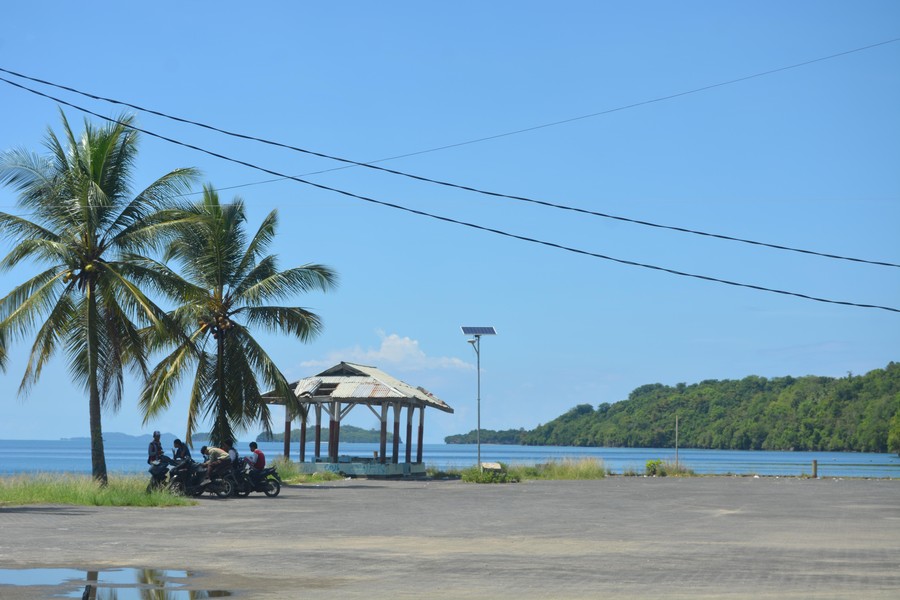 Teluk Buyat, Banyak Organisme Laut Unik dan Menarik
