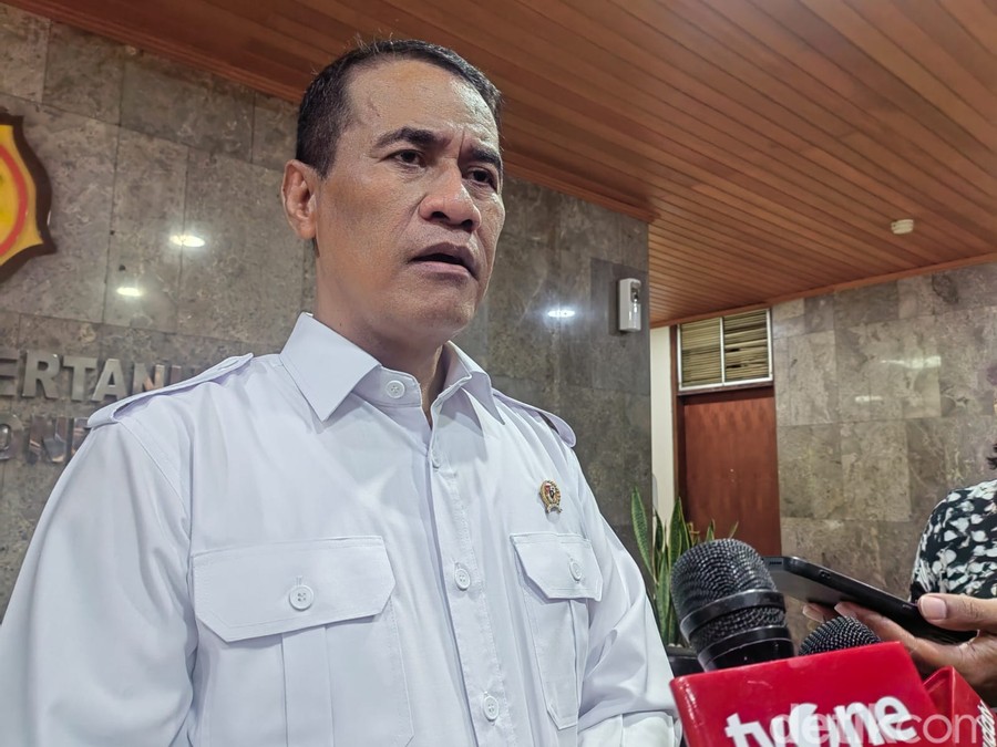 Stok Beras Nasional Melimpah, Mentan Jajaki Ekspor ke Singapura