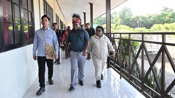 Dampingi Wapres ke Papua Barat, Wamendagri Pantau Manfaat Dana Otsus