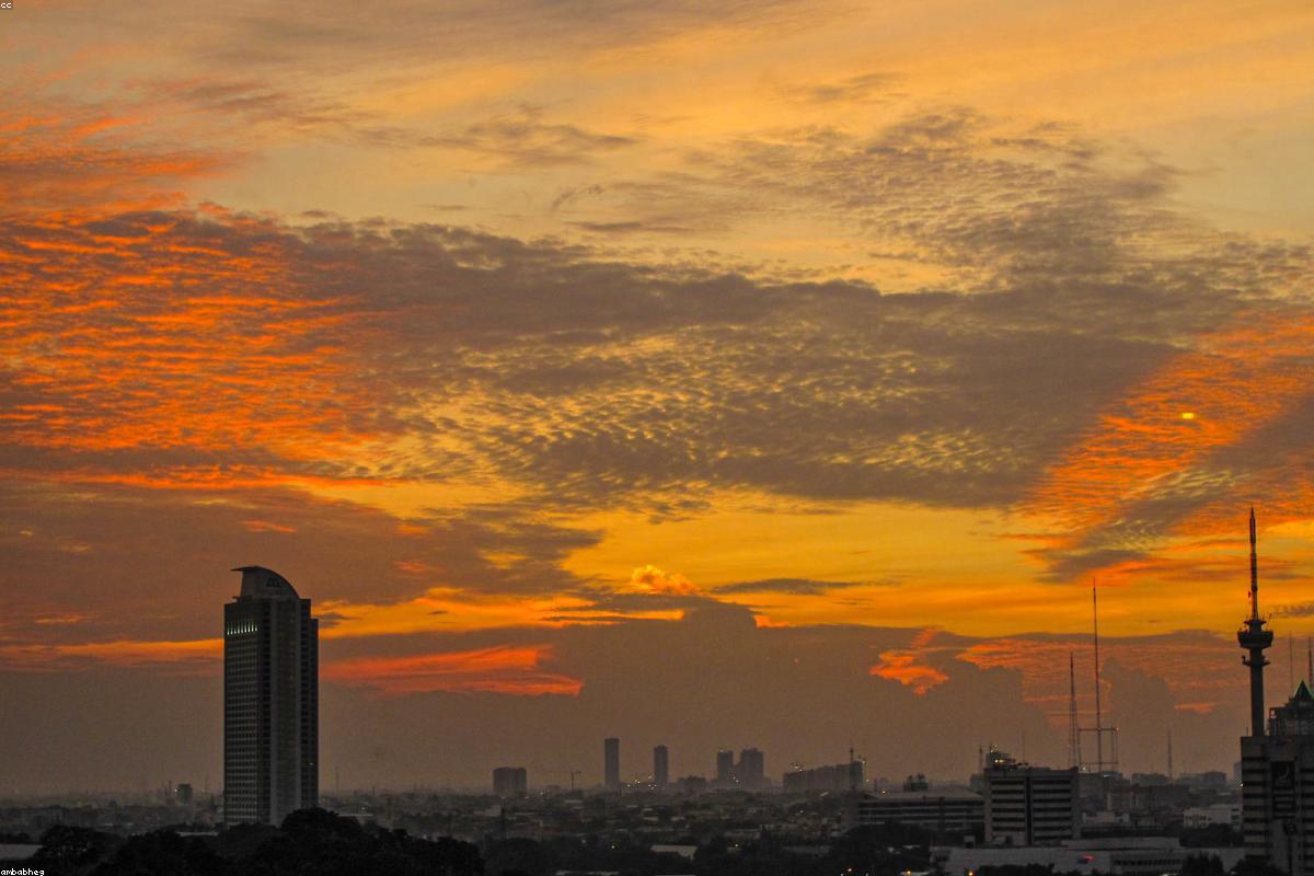 Revolusi Blockchain dalam Rantai Pasok Kopi Indonesia: Dari Petani ke Cangkir Tanpa Putus Jejak