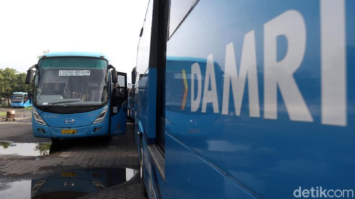 Bos Damri Ungkap Keprihatinan: 416 Bus Perintis di Daerah Terpencil Berusia di Atas 7 Tahun
