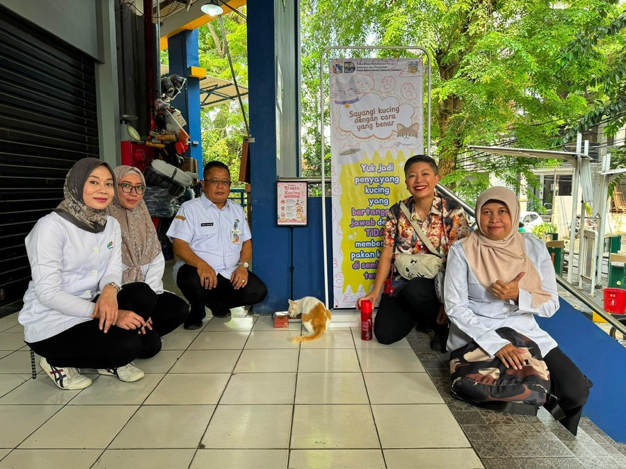 Pemprov DKI Perluas Program 'Traktir Kucing', Kini Hadir di Pasar Santa