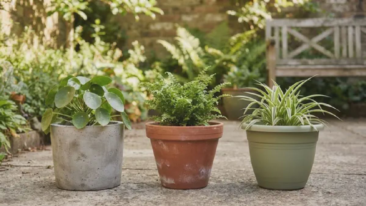 Ahli Hortikultura: Pot Semen Lebih Awet Dibanding Tanah Liat dan Plastik