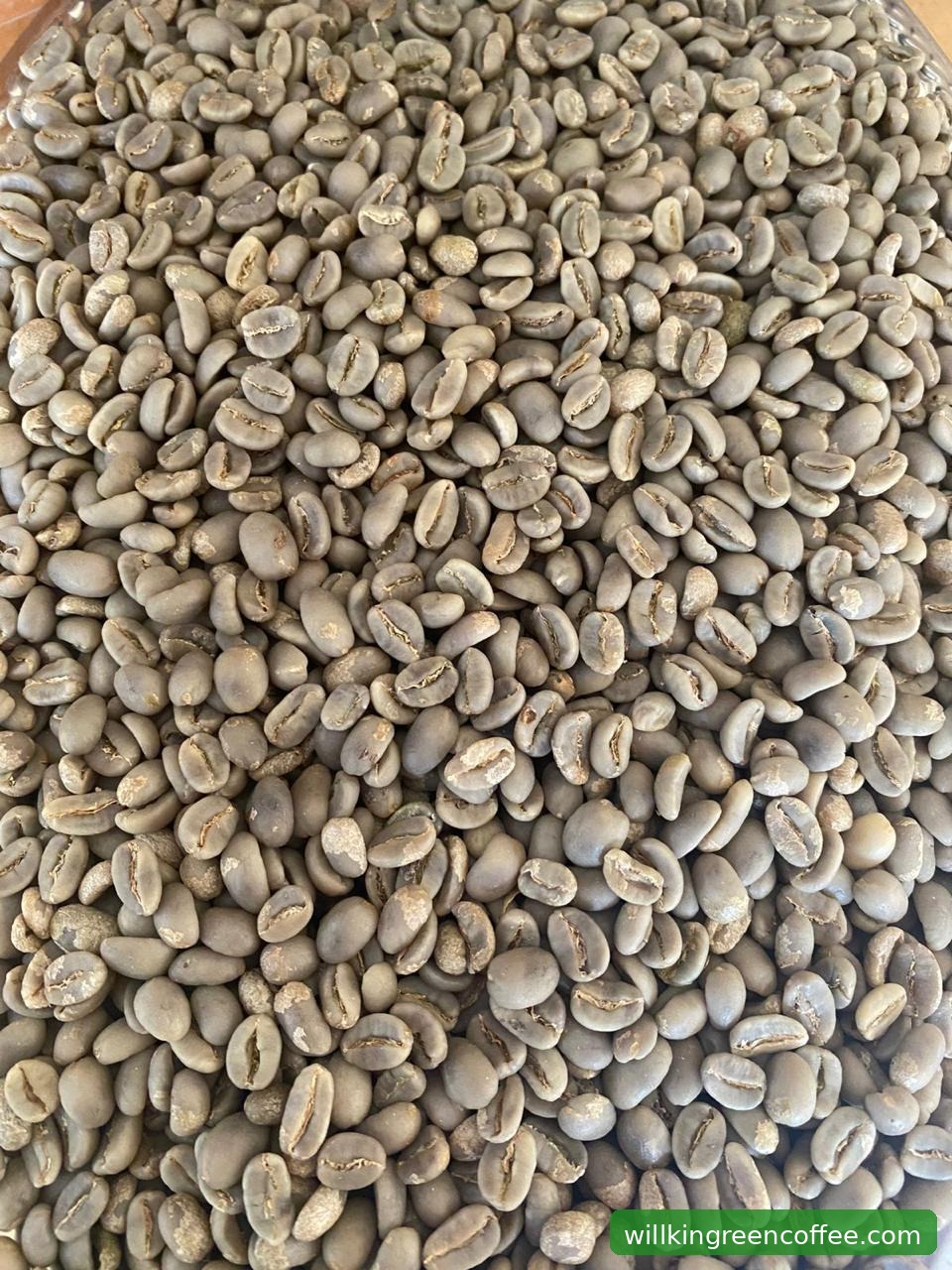 Energi Terbarukan Willkin Panel Surya dan Biogas Ampas Kopi