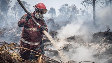Usaha Pemerintah Padamkan Karhutla: Modif Cuaca sampai Tepung Ubi